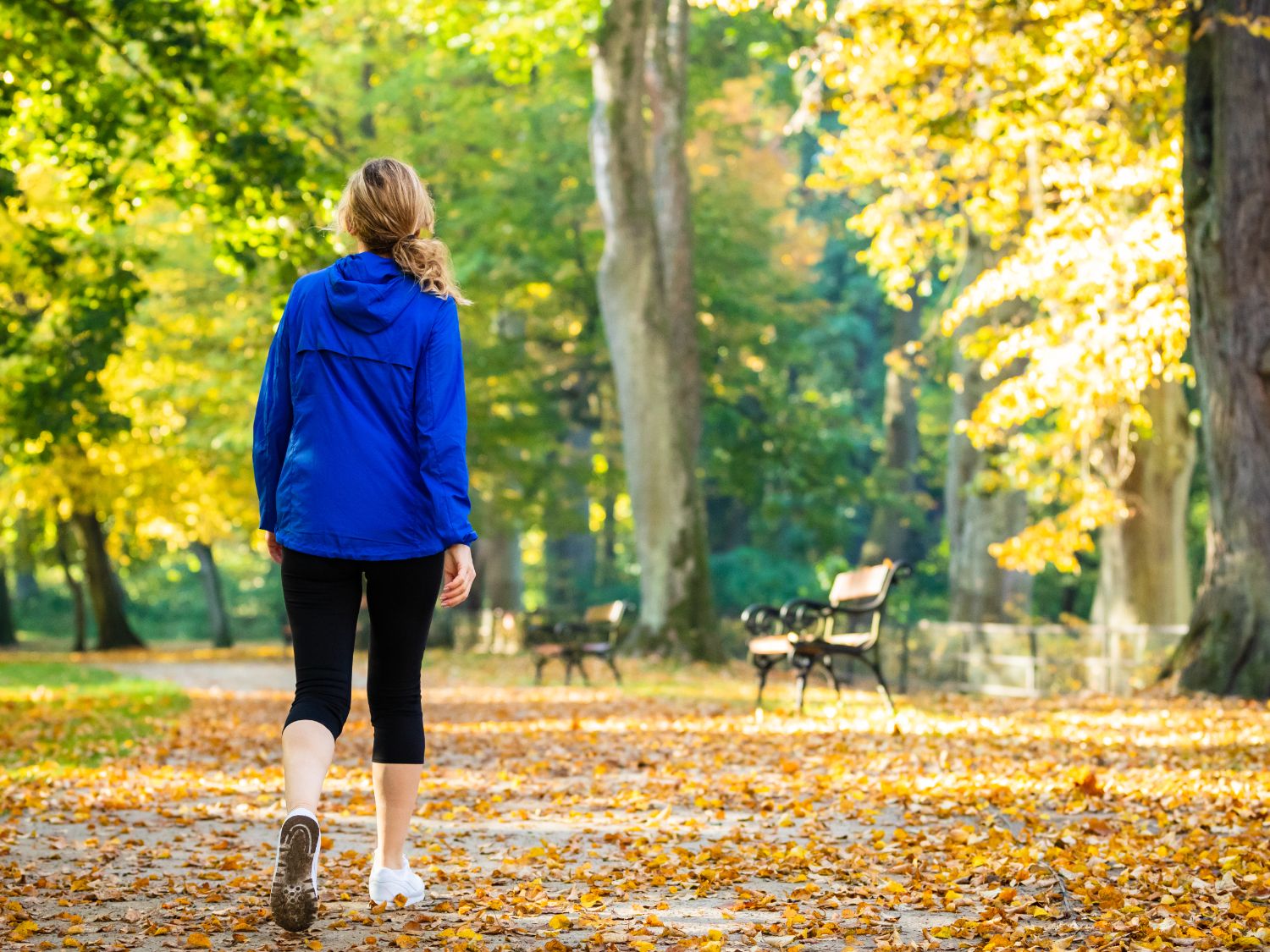 30 دقیقه پیاده روی چقدر کالری میسوزاند؟