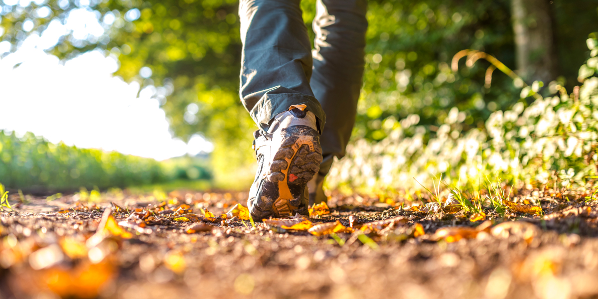 کالری پیاده روی بر اساس وزن