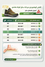 کفش کوهنوردی مردانه ساق کوتاه هامتو مدل 260195A-1 - Image 6